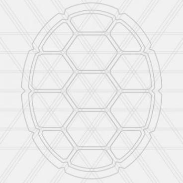 place holder image of a turtle shell